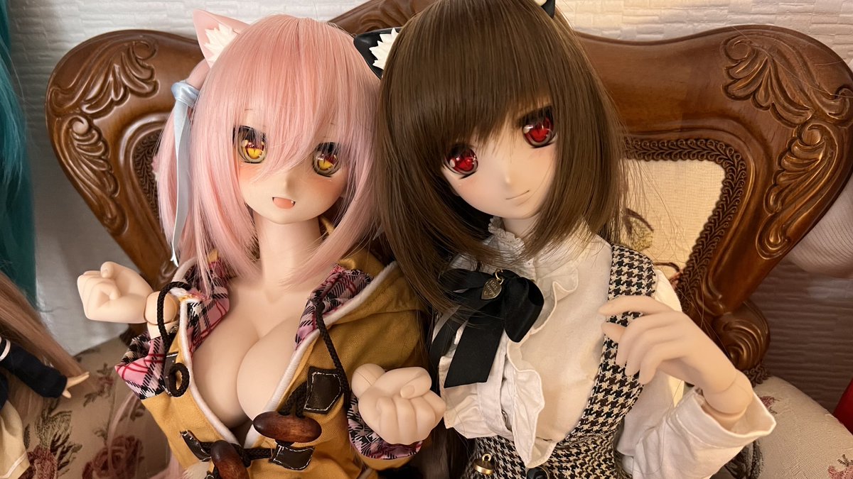 Syrohの愛娘のシアとミア😺 