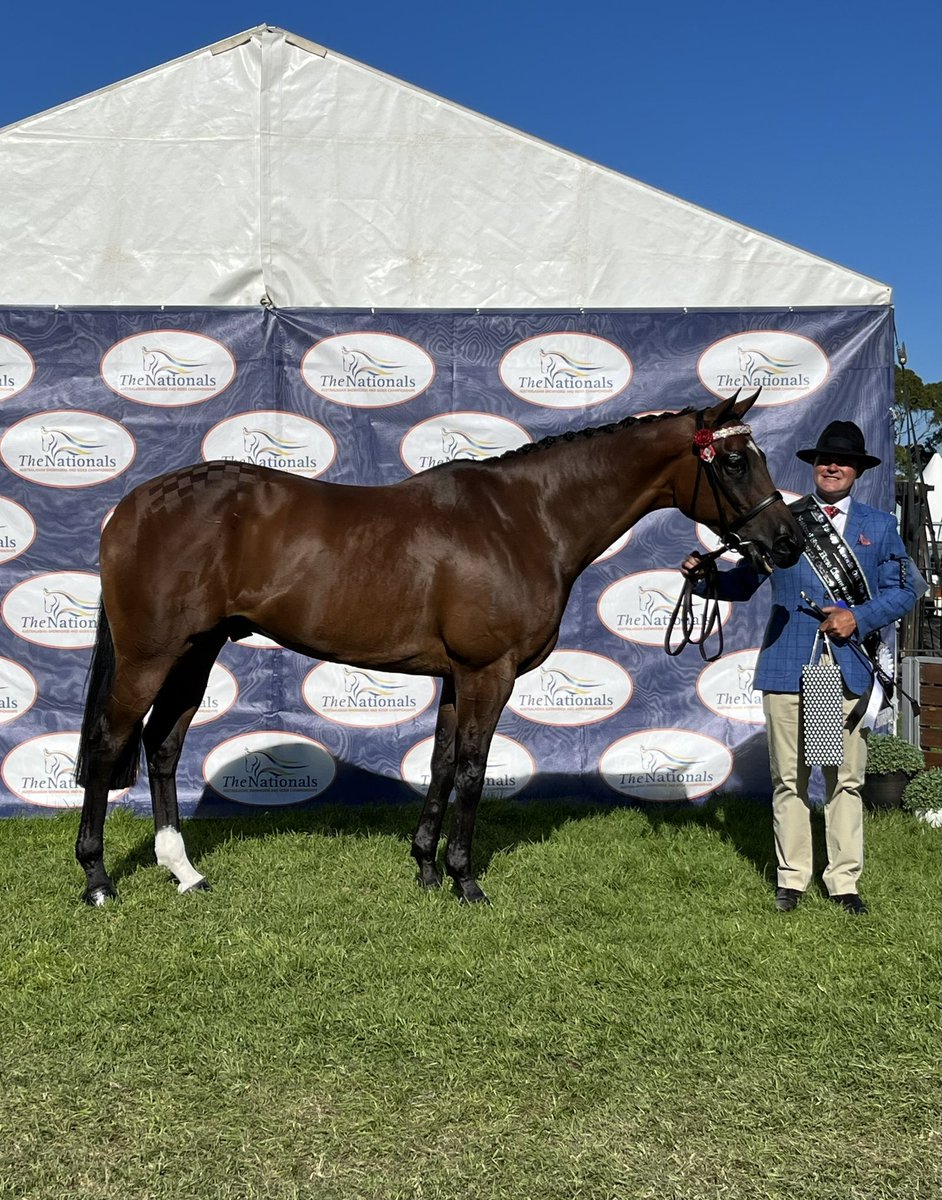 #MummsMoet celebrating his fashions win at nationals with his favourite Moët 🥰 #Zalmona <a href="/RV_OffTheTrack/">Off The Track</a> <a href="/BelindaBlanch1/">Peter and Belinda Blanch Racing</a> <a href="/RacingSA/">Racing SA</a>