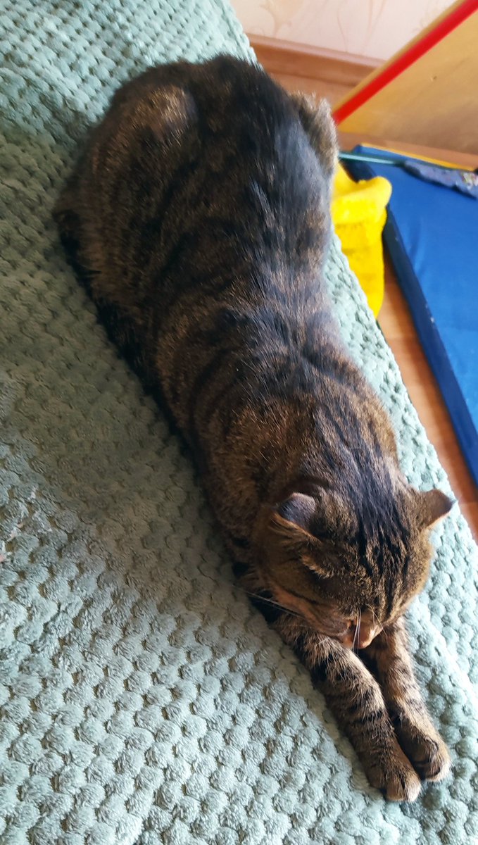 Вот мне бы так лежать и балдеть🙃