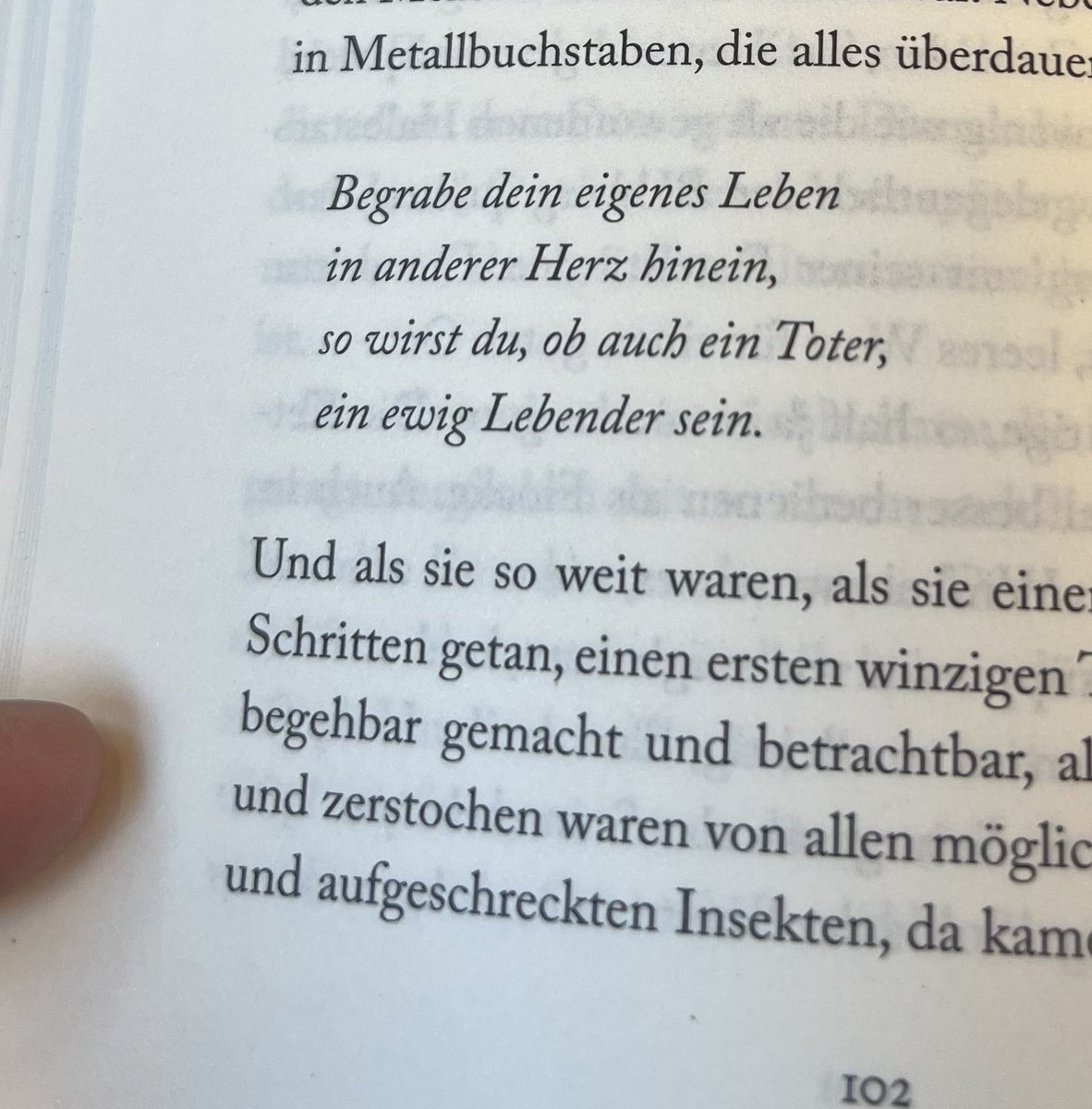 ankeanine's tweet image. Vielen bleibt nicht die Zeit, sich zu verankern.

#Dunkelblum, Eva Menasse