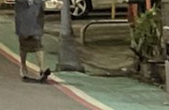 izzq1999's tweet photo. @sanahashmi1 sidewalks in Taiwan KEKW https://t.co/ChRPCZbZ1e