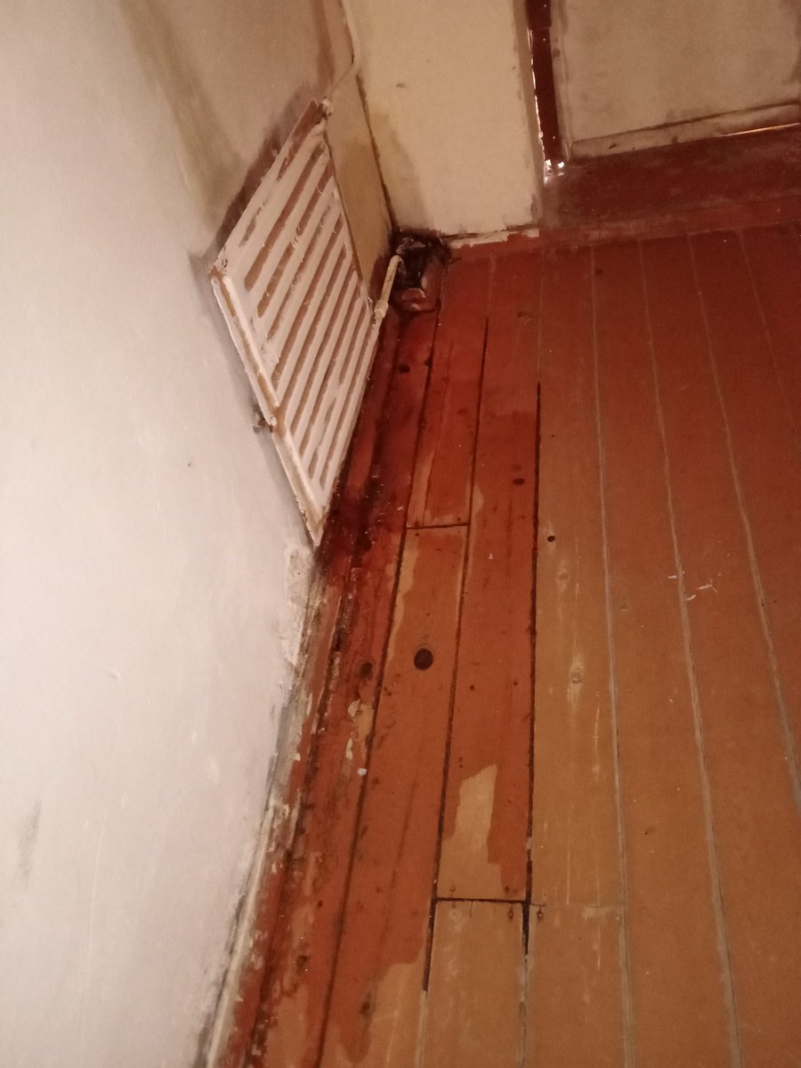 Екатерина Евсюкова tweet media