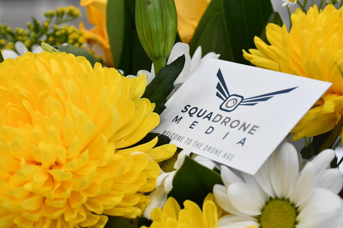 Squadrone Media tweet media