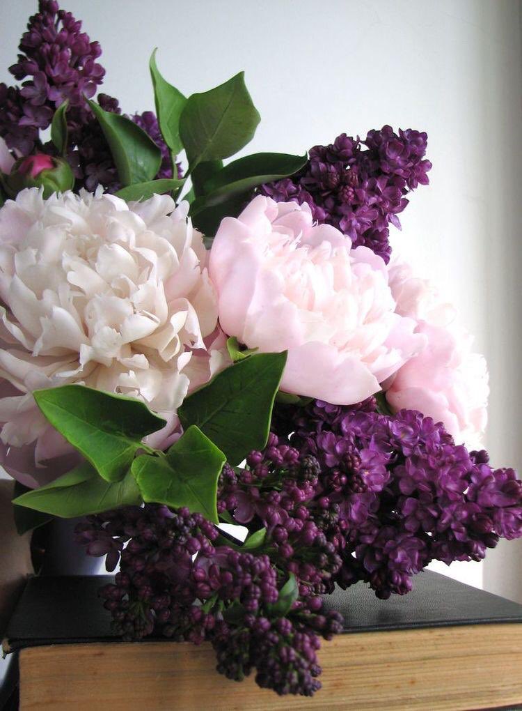 Dünya hayatı,çöl rüzgarı gibi çabuk geçer.İyi,kötü,güzel,çirkin hiçbiri kalmaz,hepsi gider.Zalim mazluma zulmettiğini zanneder.Fakat mazlumdan geçer de zulüm,zalimin boynunda asılı kalır.     Sadi Şirazi            Hayırlı,bereketli cumalar...