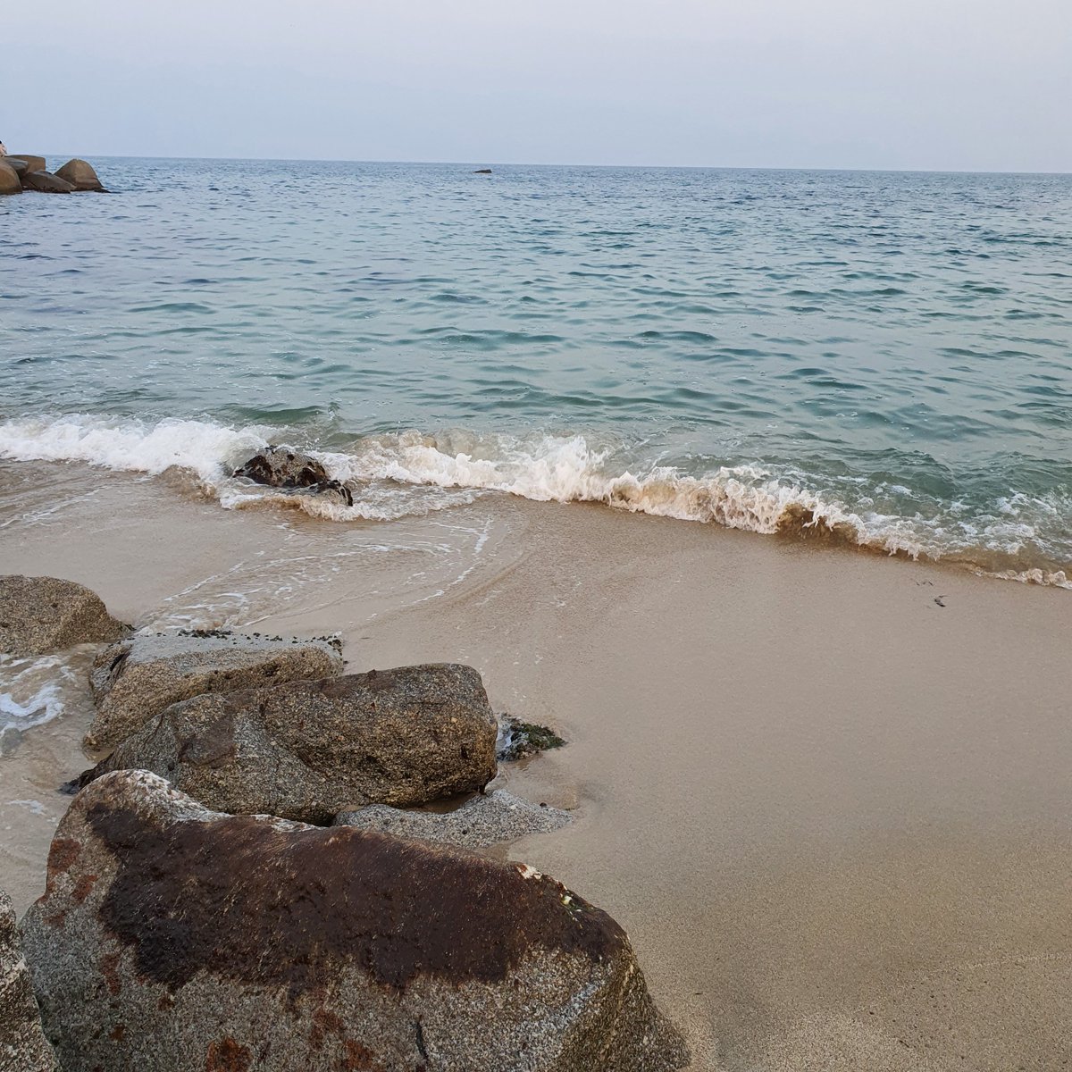 아마도 마지막 겨울바다.

#섹속 #섹트 #맘눌뎀 #선디엠 #바다 #분위기 #fwb #섹친