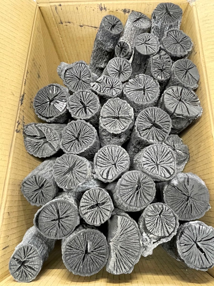 菊炭のオブジェ　扇型  値下げしました。 菊炭のオブジェ 値下げしました。 菊炭のオブジェ 扇型 値下げしました。