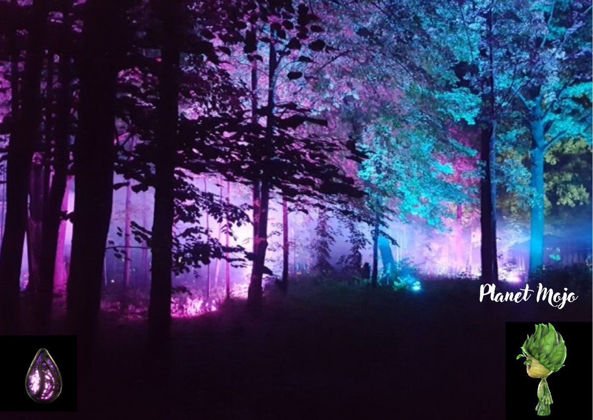 Ночной лес в фиолетовом стиле 3д
