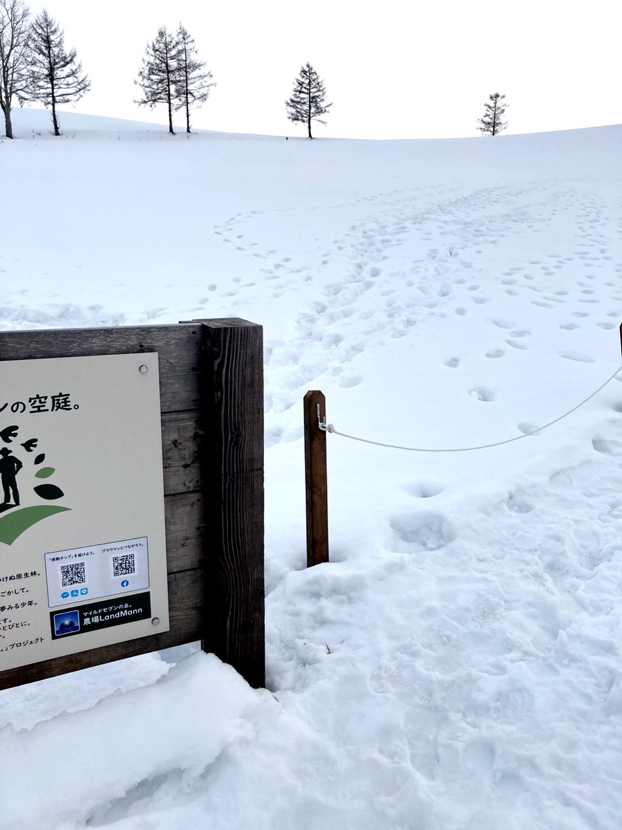 Okanomachi_biei's tweet photo. 農業と観光を共存させるための取り組み、畑看板プロジェクト「ブラウマンの空庭。」
この取り組みについて、日本政府観光局のウェブサイトに、紹介して頂きました▽
https://t.co/myjUVx1wrt
ここに記される農家さんの誇りや思いが、少しでも多くの人に伝わりますように…
（写真右：3/11撮影）
#美瑛 https://t.co/WemHFbp7UP