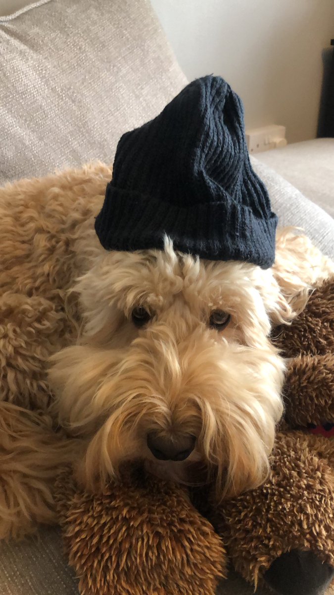 David Claridge tweet media