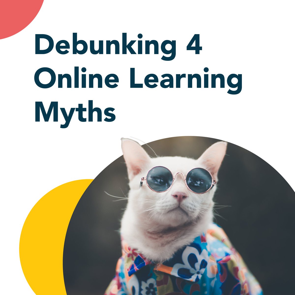 openlrning's tweet image. Online learning is boring. Well, that&apos;s another myth. Try taking an online course on OpenLearning to experience for yourself just how social, interactive and engaging learning online can be! 🤩

#openlearning #learningmyth #onlinelearning

openlearning.com