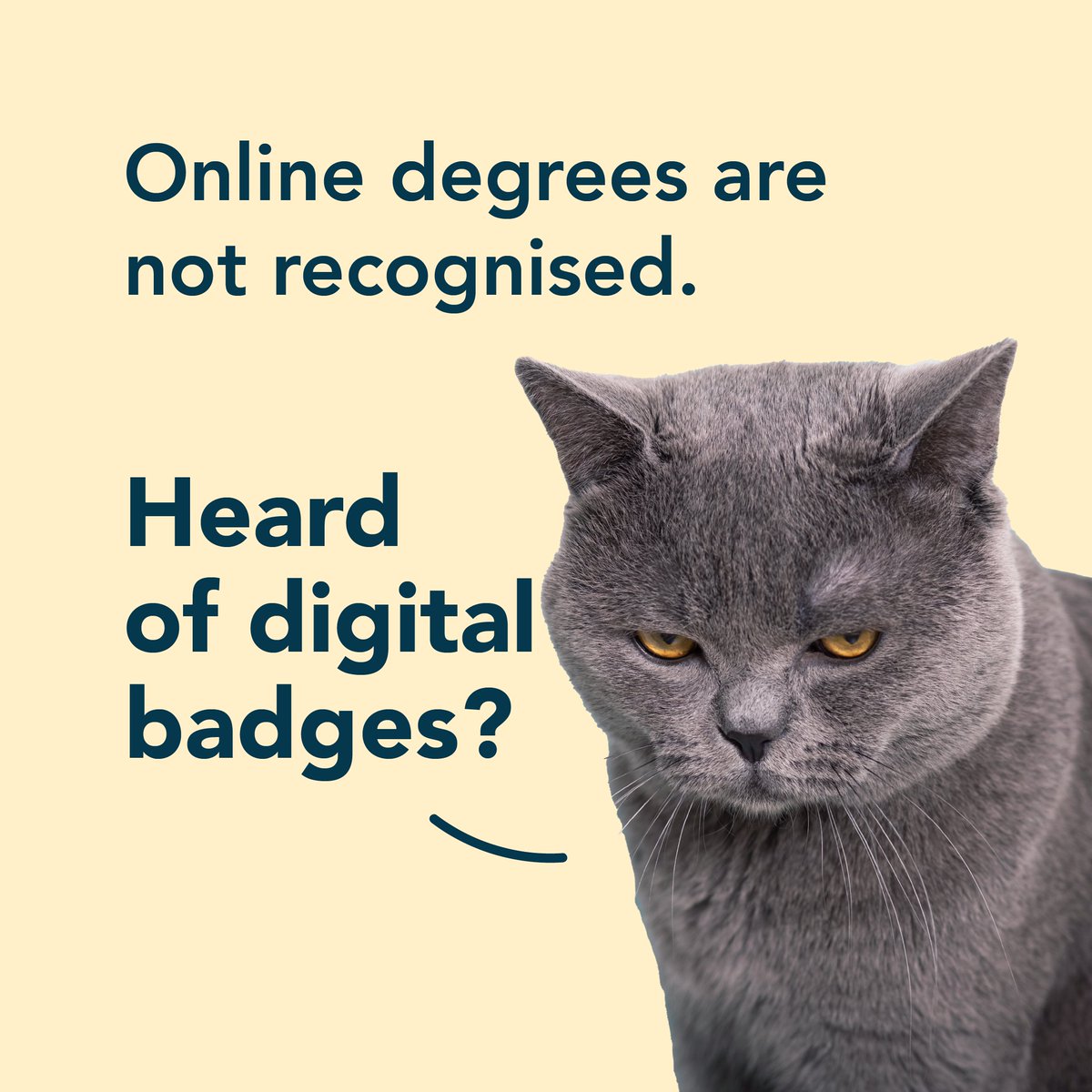 openlrning's tweet image. Online learning is boring. Well, that&apos;s another myth. Try taking an online course on OpenLearning to experience for yourself just how social, interactive and engaging learning online can be! 🤩

#openlearning #learningmyth #onlinelearning

openlearning.com