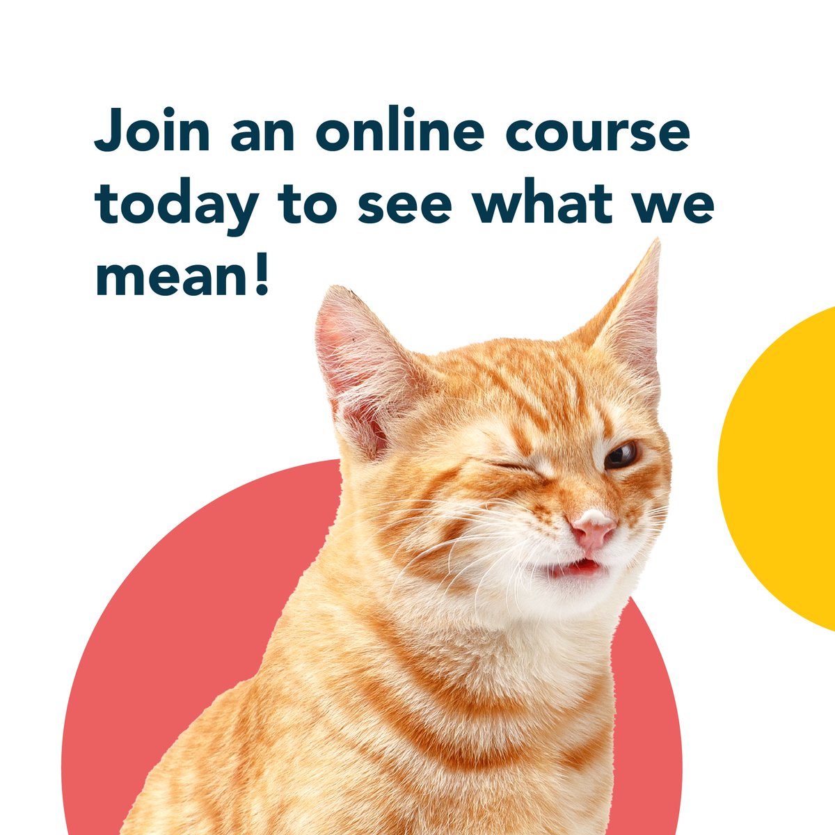 openlrning's tweet image. Online learning is boring. Well, that&apos;s another myth. Try taking an online course on OpenLearning to experience for yourself just how social, interactive and engaging learning online can be! 🤩

#openlearning #learningmyth #onlinelearning

openlearning.com