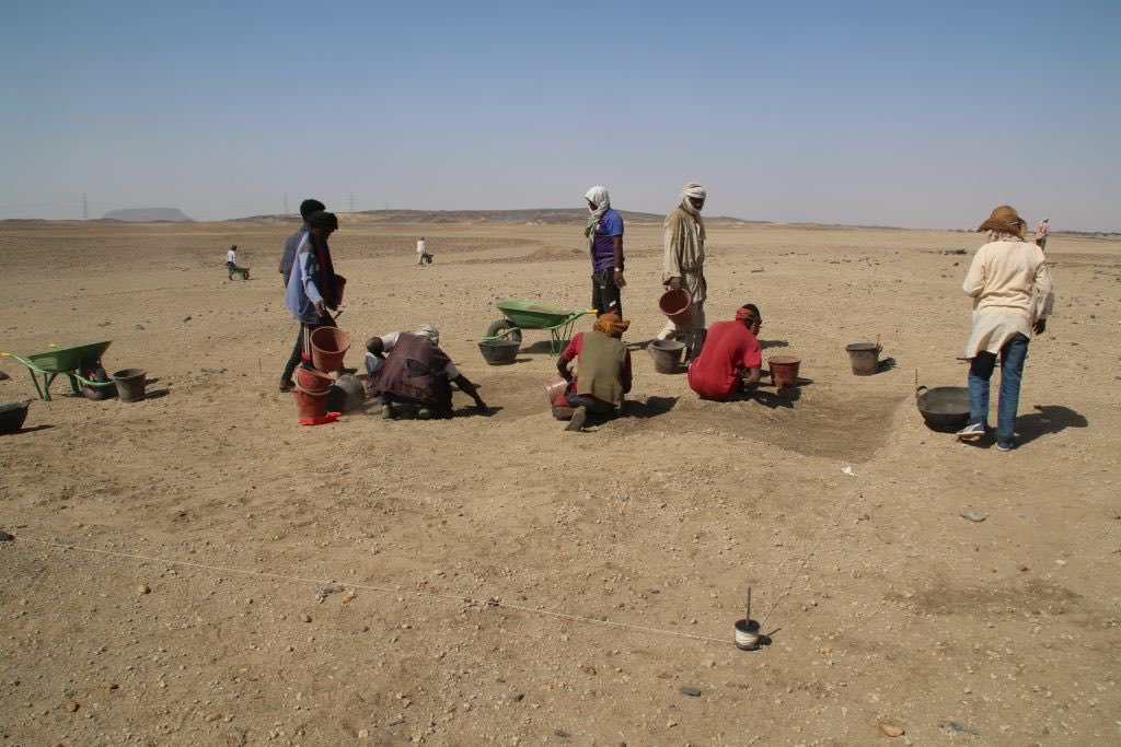 jubudka's tweet photo. Some impressions from fieldwork in our first week of the @diversenile 2022 season at Ginis East #Sudan #MiddleNile #Archaeology https://t.co/vHeE6WSQRp