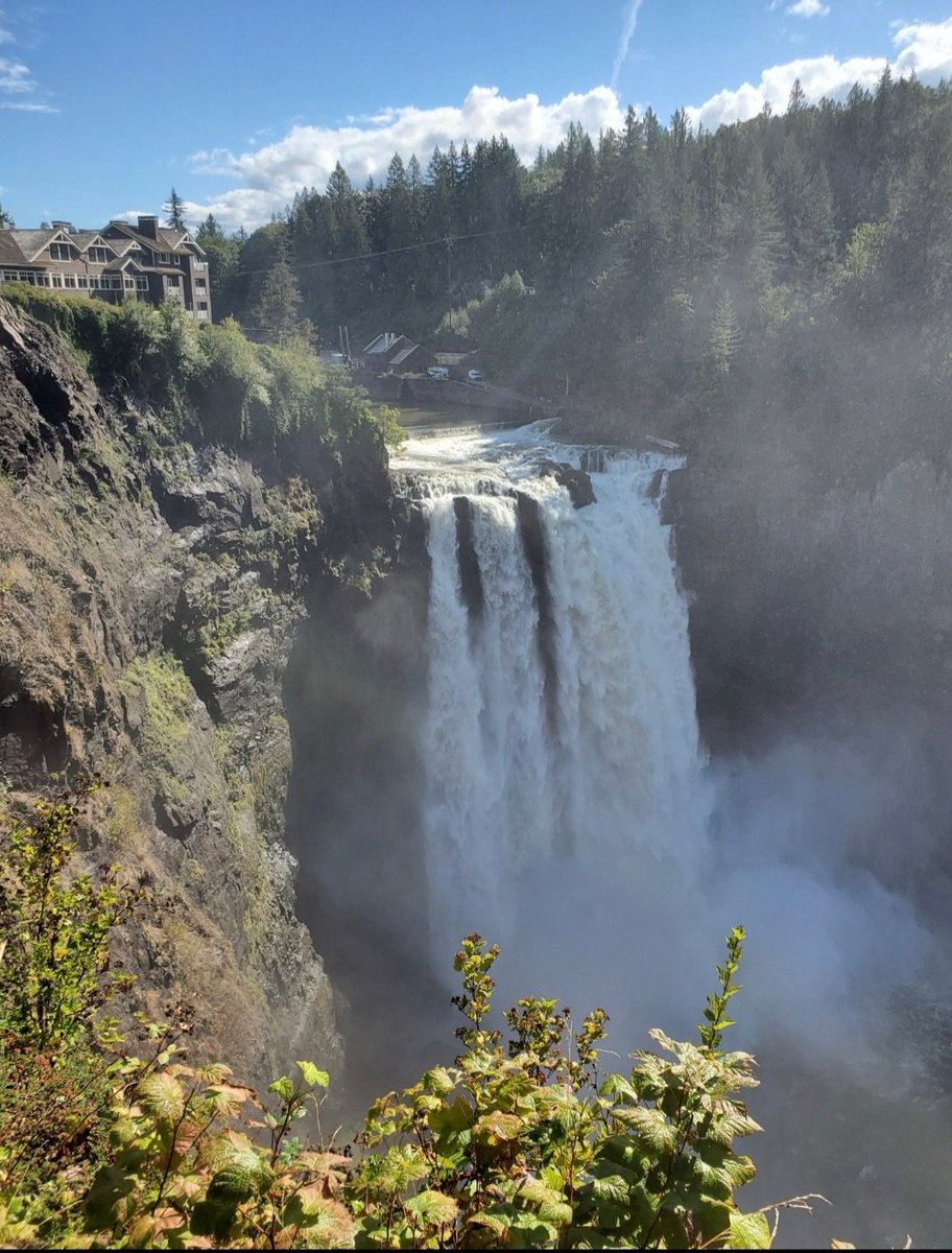 HealthyFires's tweet photo. Understand the importance of nature and what kind of role it plays in your life. Love your surroundings. #hiking #Anxiety #MentalHealthMatters #MentalHealthAwareness https://t.co/LczZGaHnyU