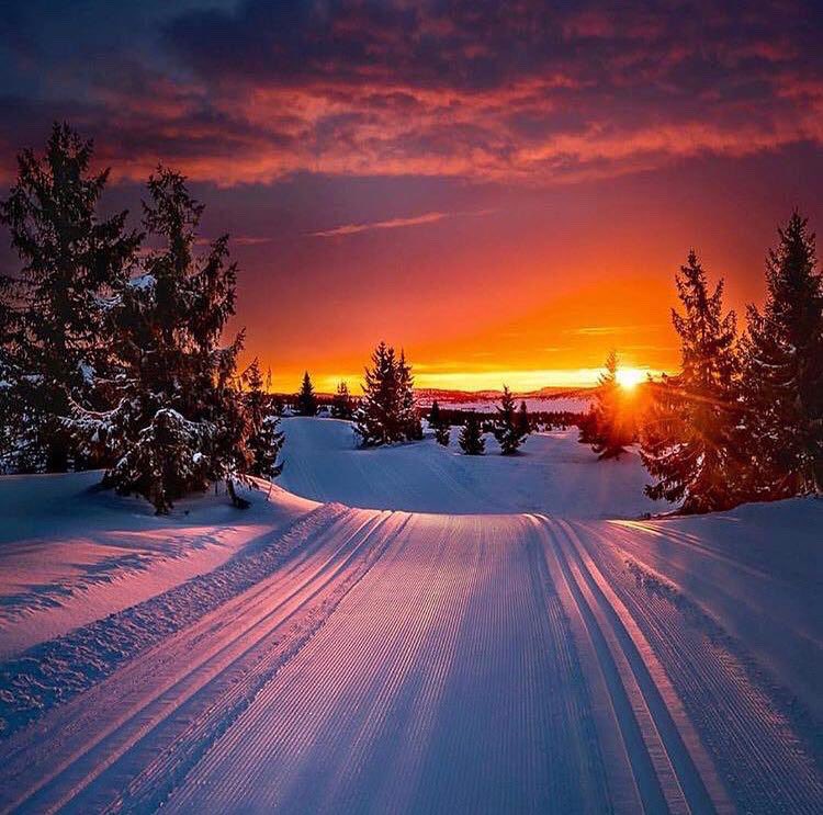 Utsunkutsu4's tweet photo. Sunset at the villa. 
.

#visitfinland
#levinsky
#levinskyluxuryvilla
#laplandluxury
#leviski
#visitlapland https://t.co/rrLEStuye6