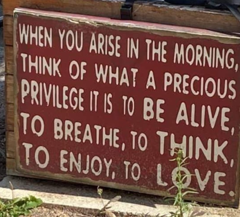 Tracey Sinclair (@tfc5) on Twitter photo 