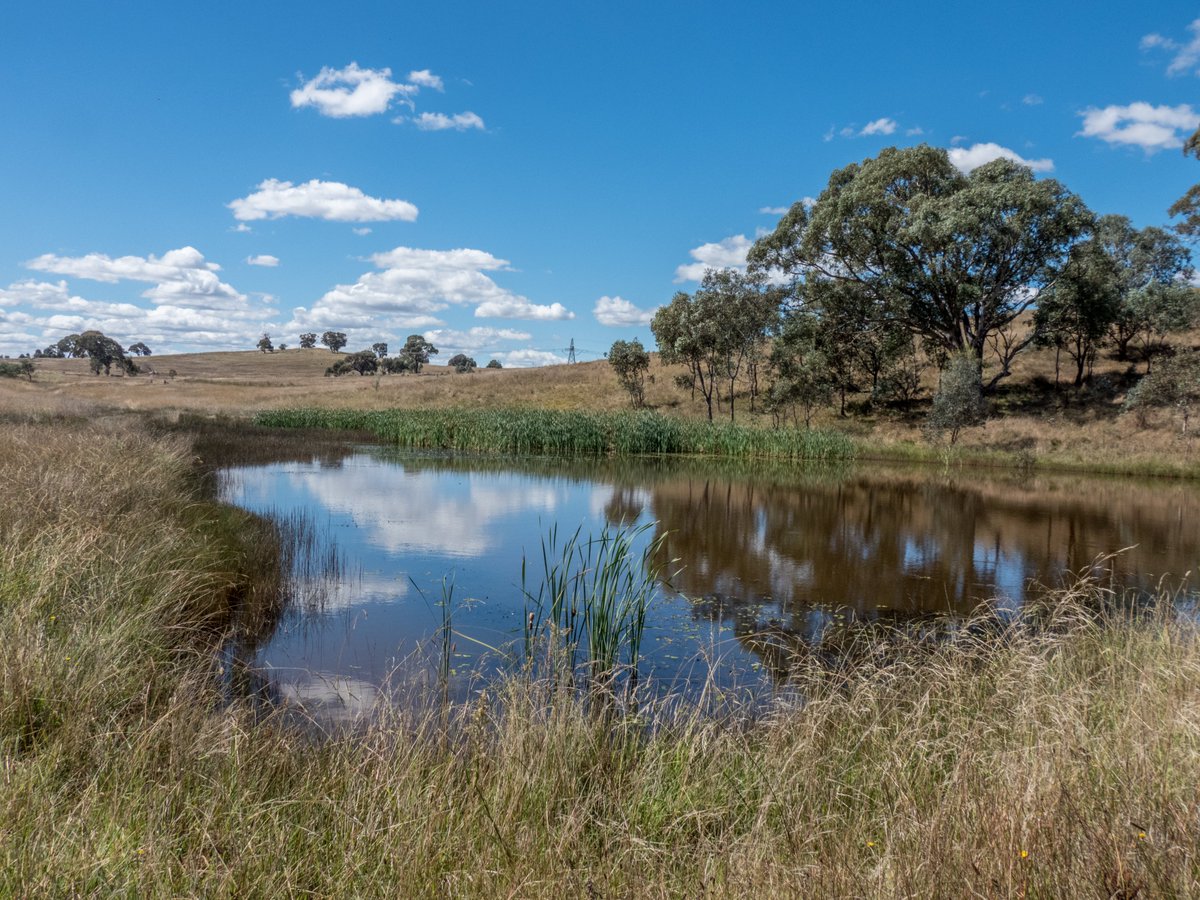 c_mperman's tweet photo. #Canberrawalks today was a repeat visit to Gunghalin Hill, in lovely sunny weather. A very enjoyable walk. @KMRiethmiller @GbhvfRon @wapple15 https://t.co/aAfL0NHRtR