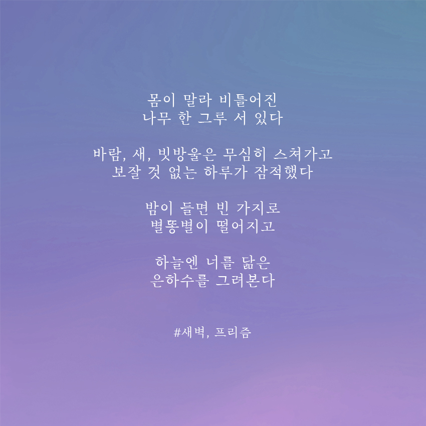 FreeZum_'s tweet photo. 에어드랍 이벤트 진행합니다🌙
저녁과 새벽의 감성을 담은 시 NFT입니다

마감:3/17 오후7시
발표:3/18 (당첨자 2명)

1. 팔로우
2. 좋아요, 리트윗
3. 친구 2명 태그
4. 댓글에 카이카스 주소

프리즘 작가의 시 컬렉션🌼
https://t.co/oPz3RBdXMO

#NFTCommmunity #NFTGiveaway #NFTdrop #Nftart https://t.co/HhFHEWGXs6