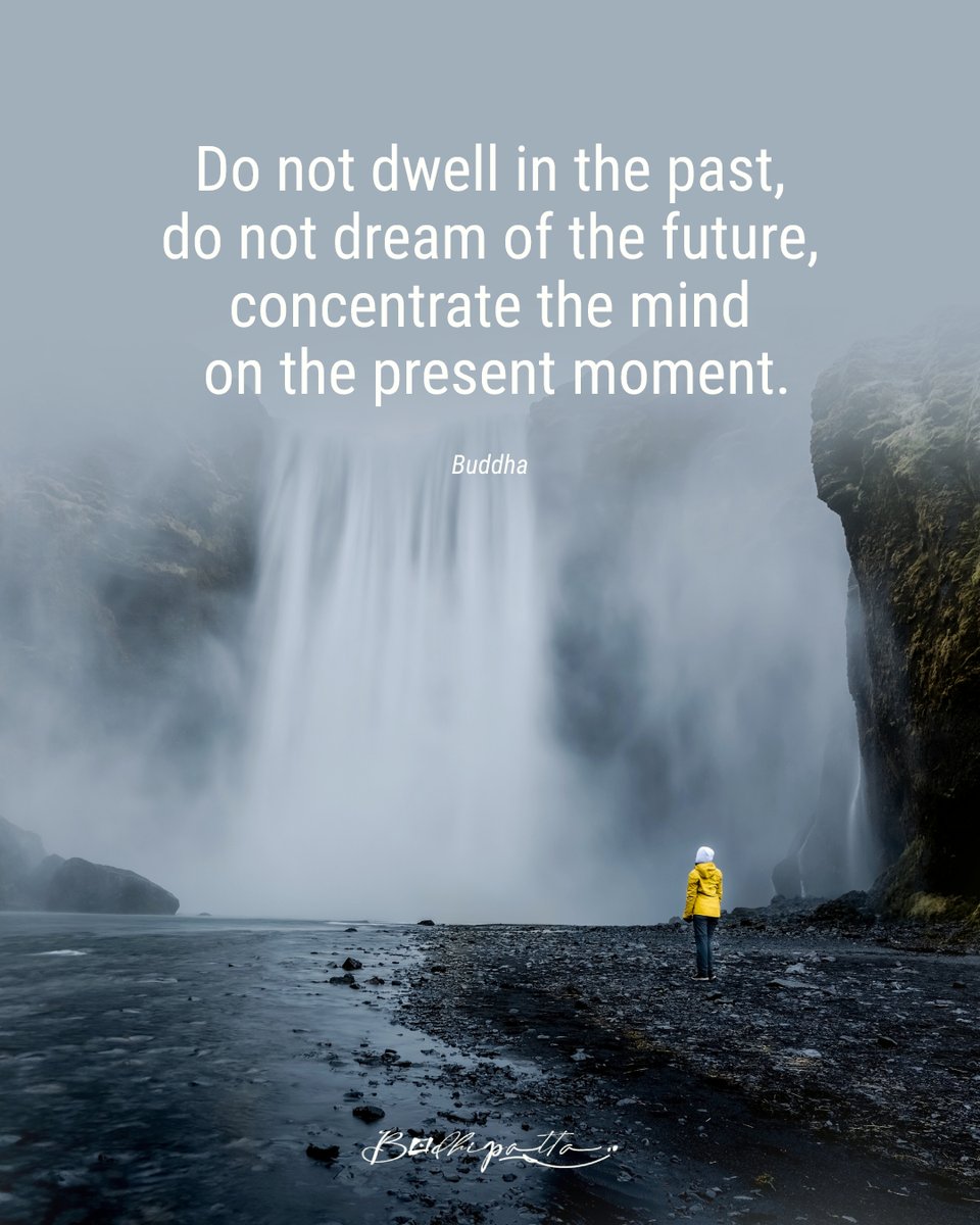 BodhiPatta's tweet photo. #Buddha #quote #bodhipatta https://t.co/dIyZjMNsgV