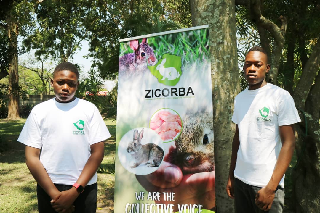 LeeroyKing17's tweet photo. Zimbabwe Commercial Rabbit Breeders Association Bulawayo Chapter Youth ambassadors
#makezicorbagreat
#byochaptercookoff https://t.co/RRaiUfet7g