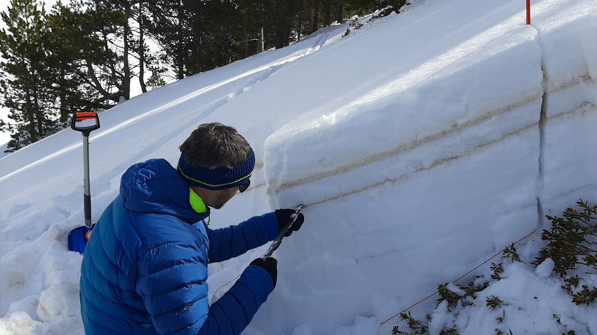 Andorra_RI's tweet photo. 📢Darrers dies per inscriure’s al curs de nivell 2 en neu, allaus i seguretat en muntanya hivernal de l’EDNA. Del 21 al 26 de març curs avançat en nivologia, meteorologia, traçat d'itineraris, rescat i molt més! No et quedis sense la teva plaça.
Més info a https://t.co/wzzTKxVxaZ https://t.co/3zylL52PfZ