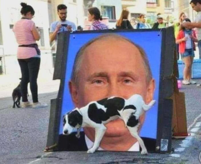 Aiannucci's tweet image. Good morning