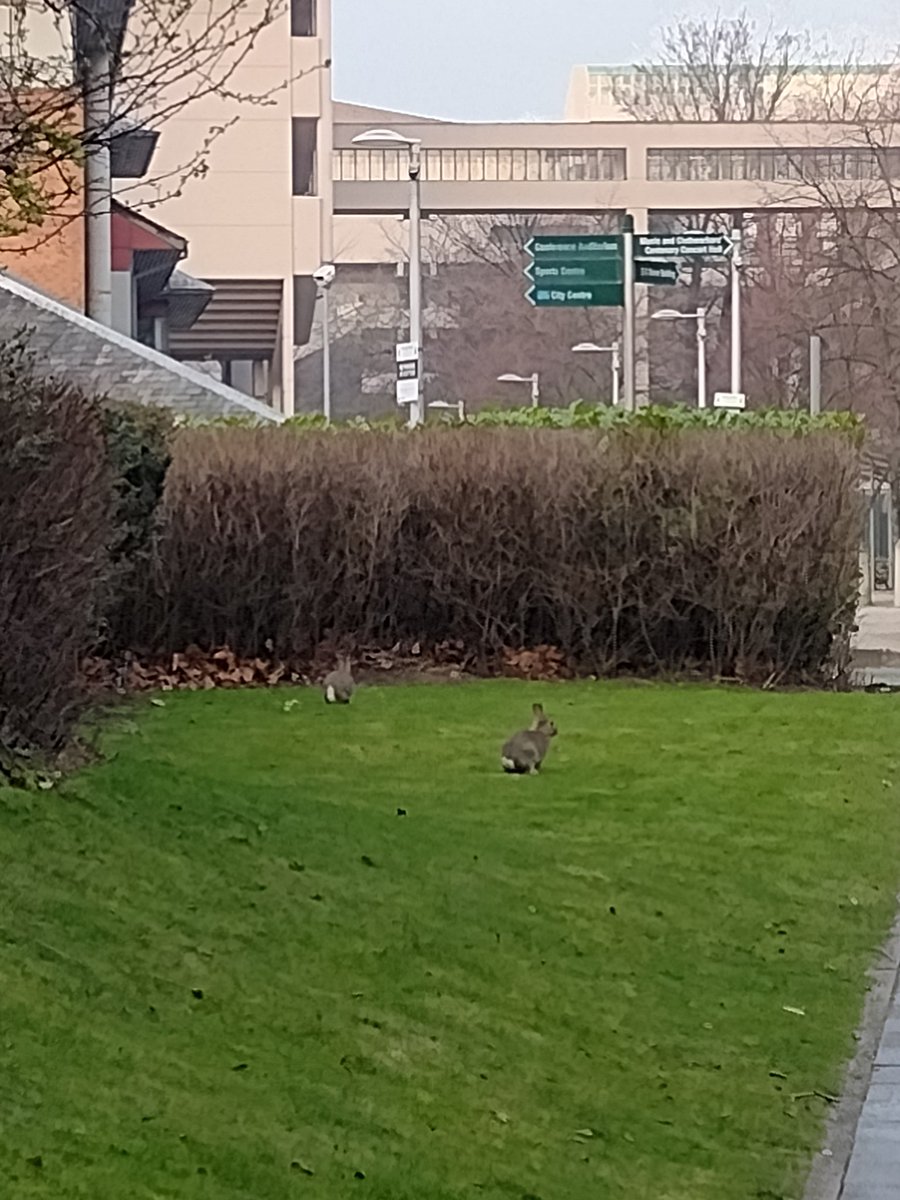 Dr Jen @axemaiden@mstdn.social tweet media