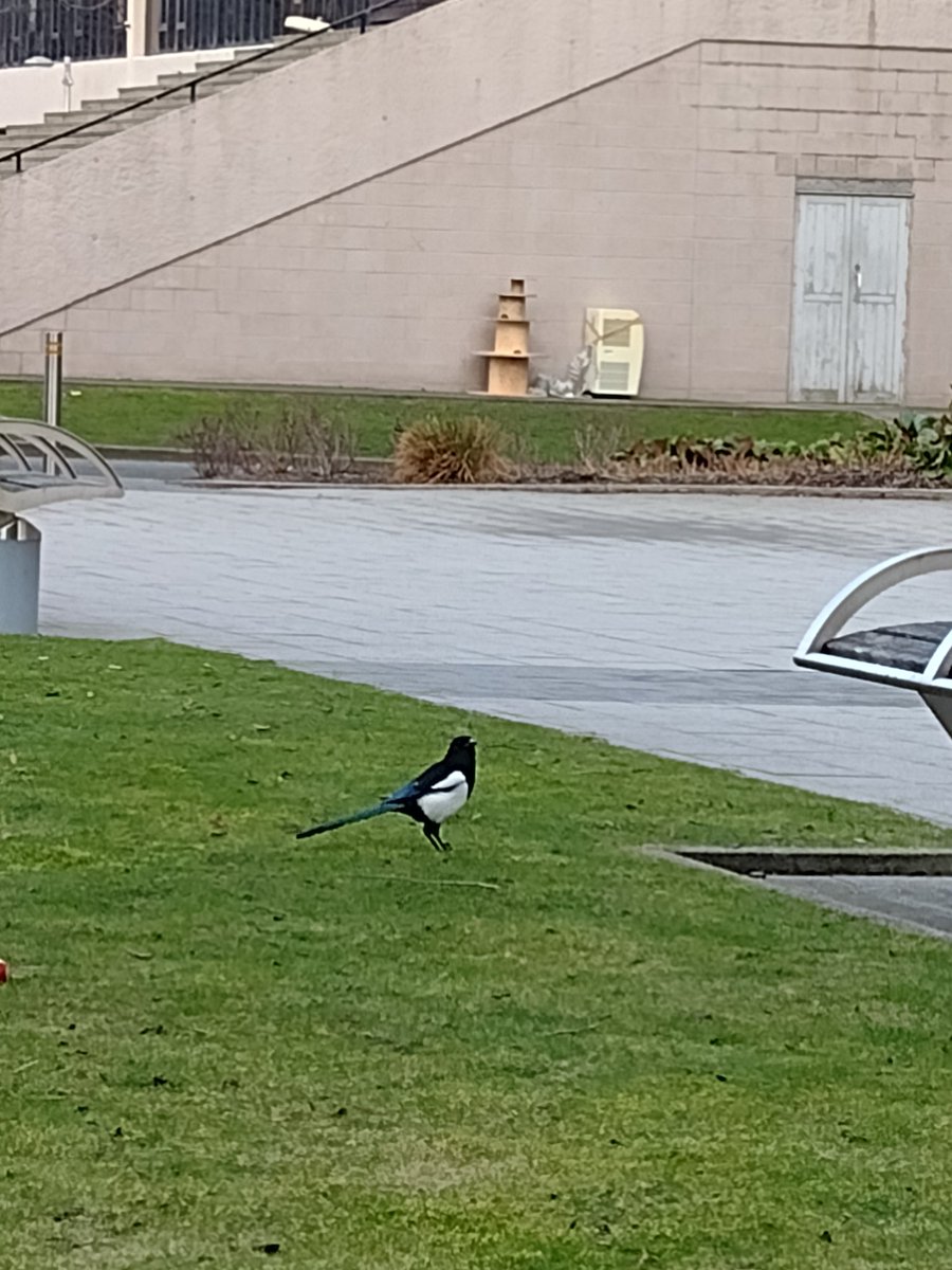 Dr Jen @axemaiden@mstdn.social tweet media