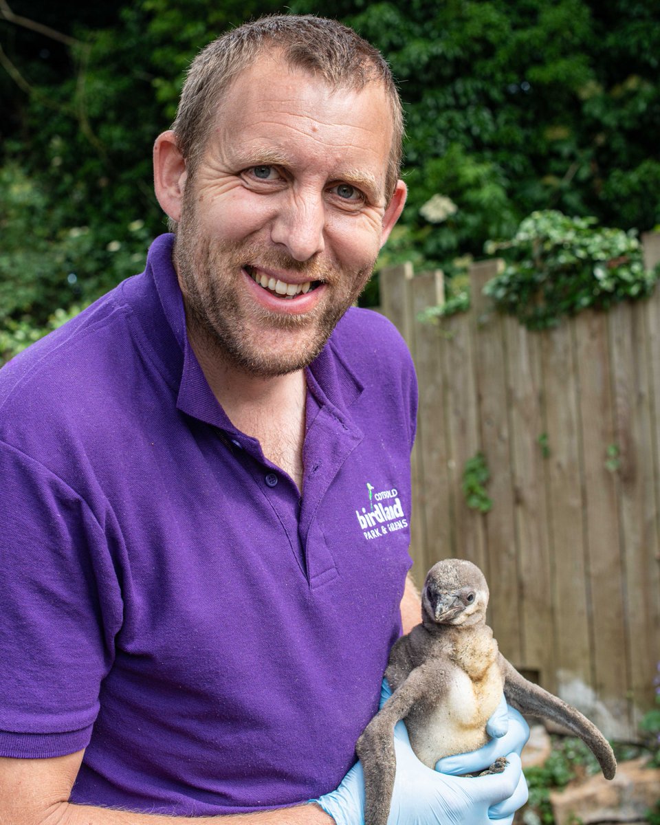 Birdland_'s tweet photo. Ever wondered what it’s like to work at #Birdland? Head over to the blog page on our website to read about a day in the life of our #HeadKeeper, Alistair https://t.co/akpV4aalKN
Photo taken by our friends @robandaliCHP 📷 https://t.co/fZDkGp0In5