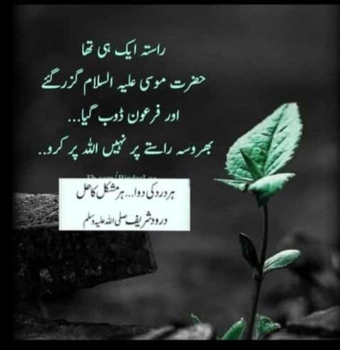 Bint E Hawa tweet media