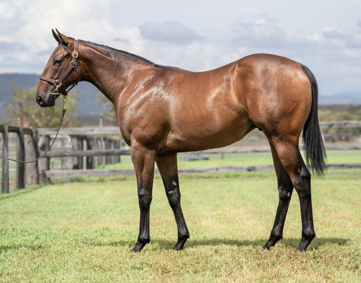 NewgateFarm's tweet photo. Kentahten🥇controls from the front leading all the way to break his maiden @CranTurfClub under a smart ride from @pasteypiper 💪
The son of Winning Rupert looks to have more wins to come ‼️
Congratulations to breeder @ParkPonderosa and all winning connections @FeekRacing 👏🏻 https://t.co/X8zuG5DGaM