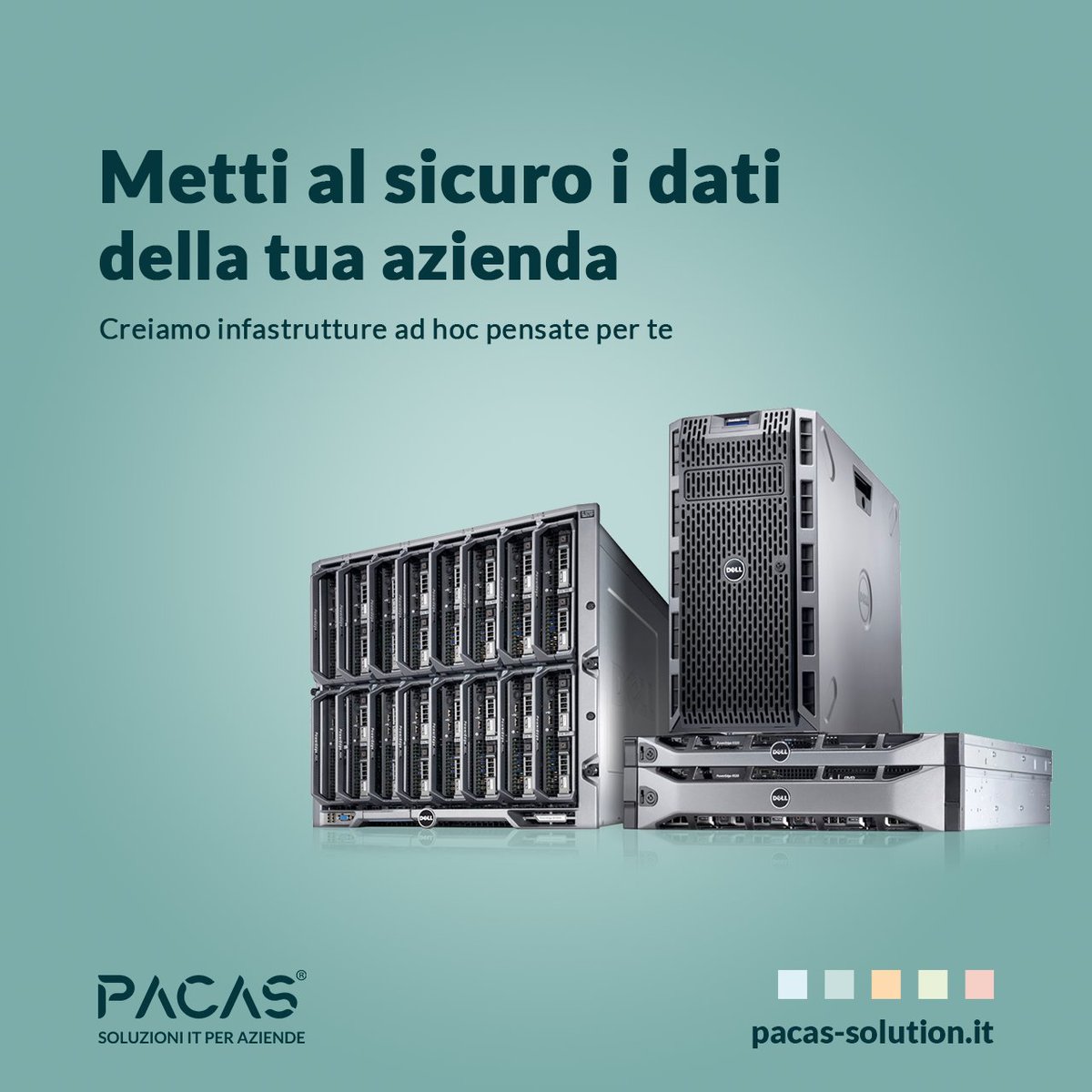 Pacas Solution tweet media