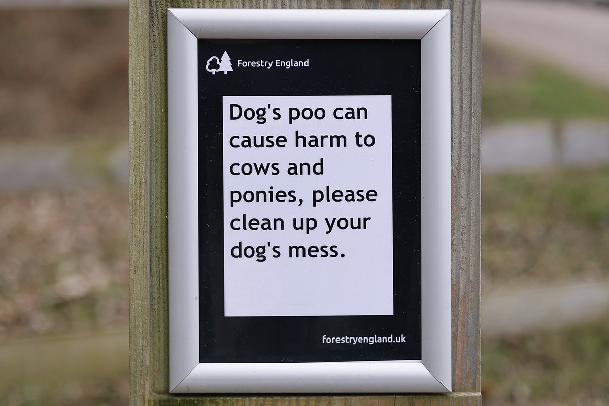We’ve been trialling different signs in our car parks to remind people of their responsibility to clear up their dog’s mess. Please help us share this important message. 🙏

#CareForTheForest #NewForest #dogs #dog