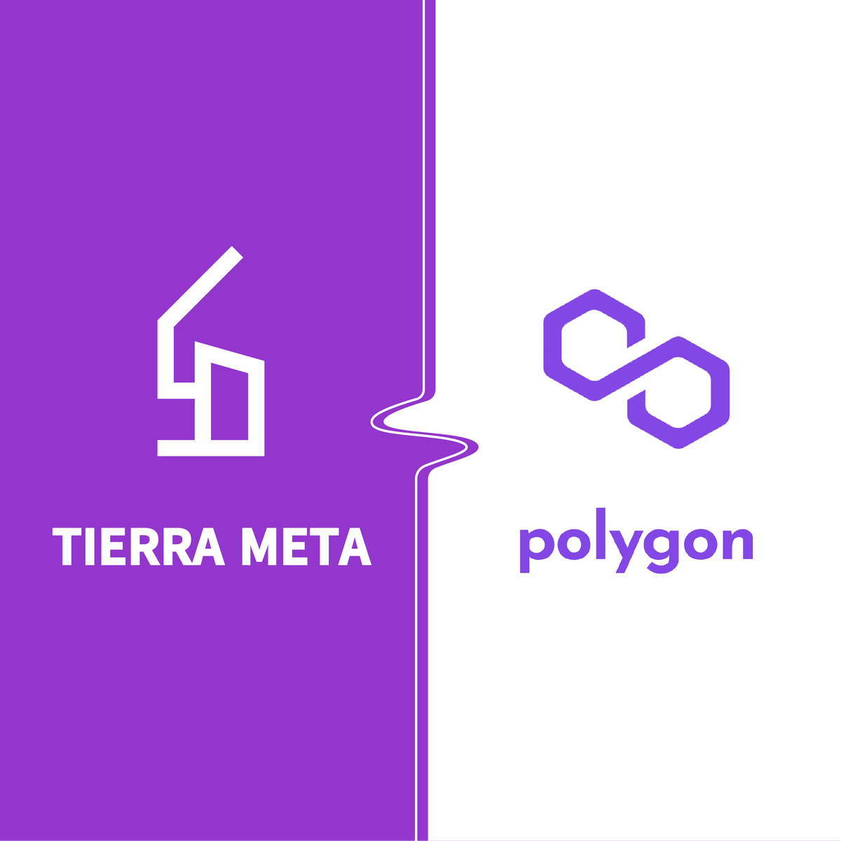 TIERRAMETA.io tweet media