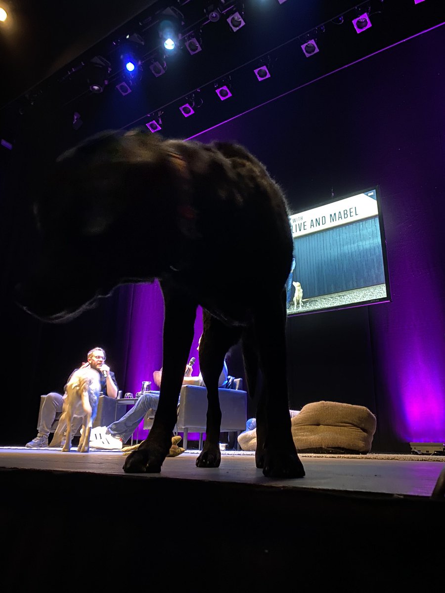 tracyw100's tweet photo. @MrAndrewCotter We had front row seats for An Evening with Andrew Cotter, Olive and Mabel @StoryhouseLive last night. This was our view😍 https://t.co/tTliyDdO7u