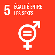CollegelouiseM's tweet photo. D'accord, pas d'accord ... ? A l'aide de différentes activités proposées par le #planningfamilial, les élèves de 4è s'expriment sur différents sujets liés à la vie affective, relationnelle et sexuelle.  #semainegalite @ac_normandie #EgaliteFH https://t.co/7TEWwshjpD