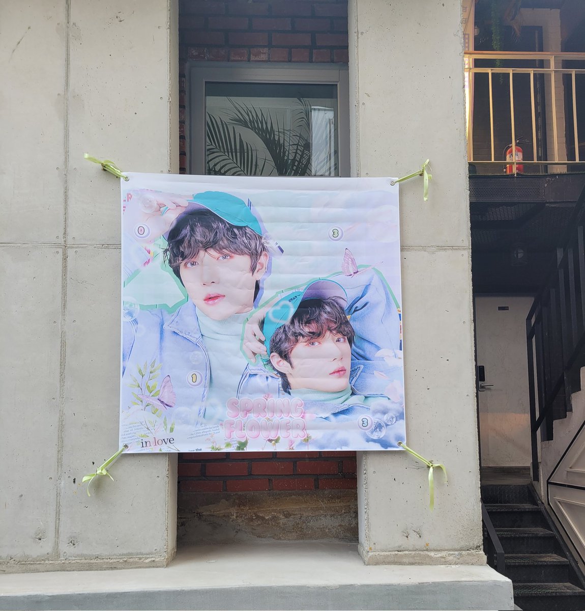 yelong_'s tweet photo. #우리들의_봄_범규
#springflowerBGday https://t.co/mwJAQDvENh