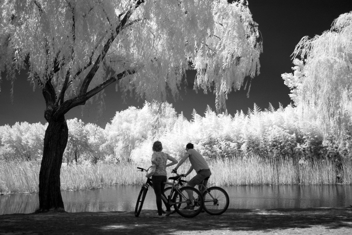 GalipCetiner's tweet photo. Gm great #NFTCommunity  🙋‍♂️☕💛💙
Happy #infrafriday today
One day, everybody will be an infraredlover 🙏
#Infrared #photography #landscapephotography https://t.co/Y5wcN0ZC26