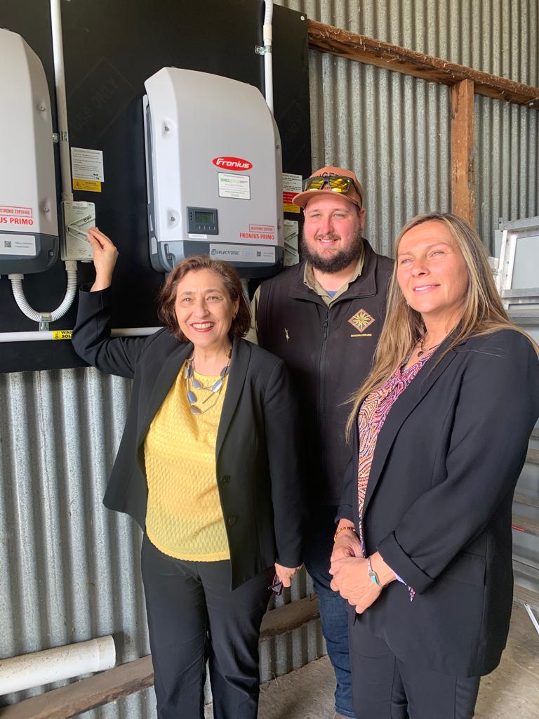 Lily D'Ambrosio MP tweet media