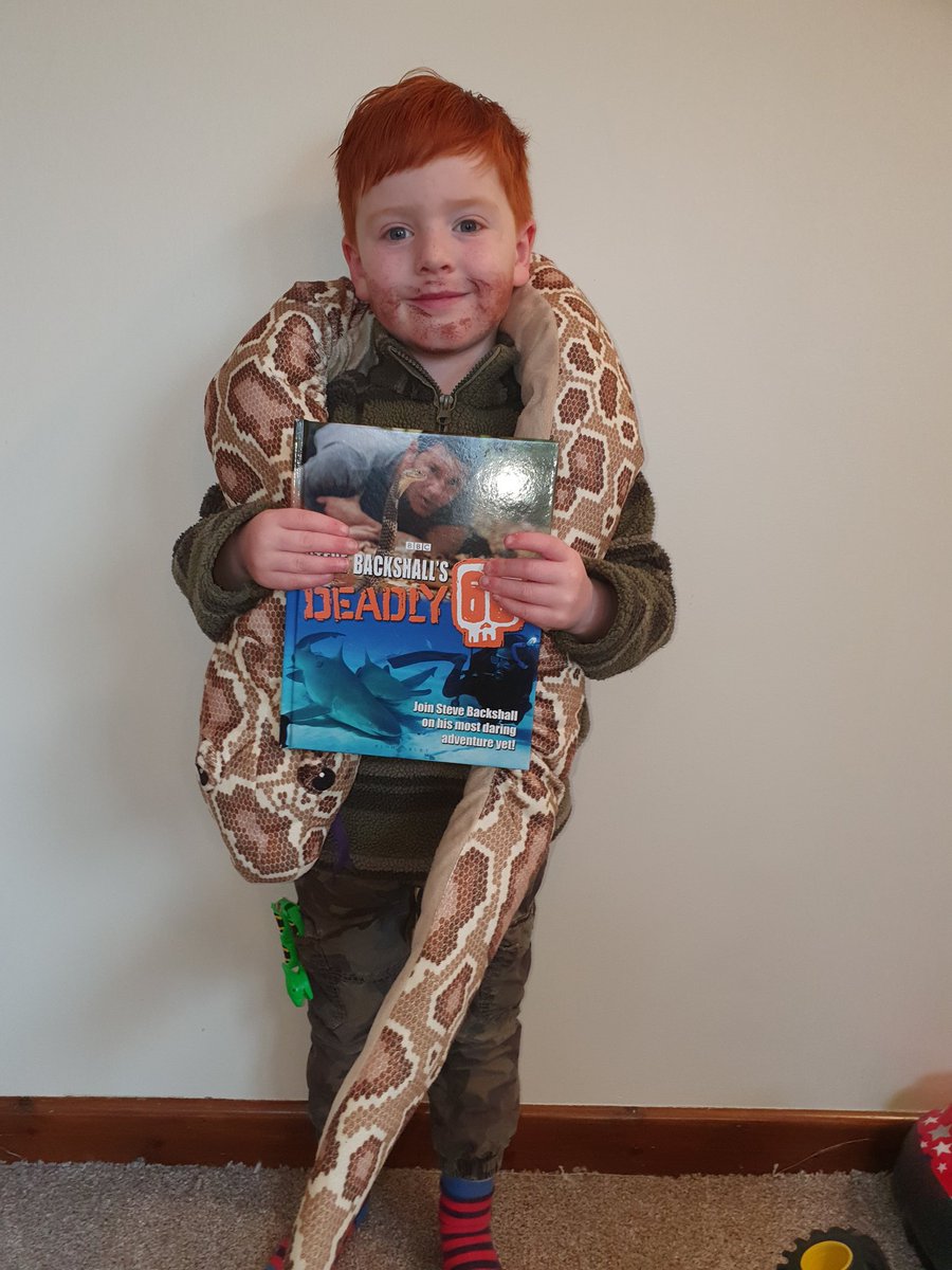 Amanda Searle tweet media