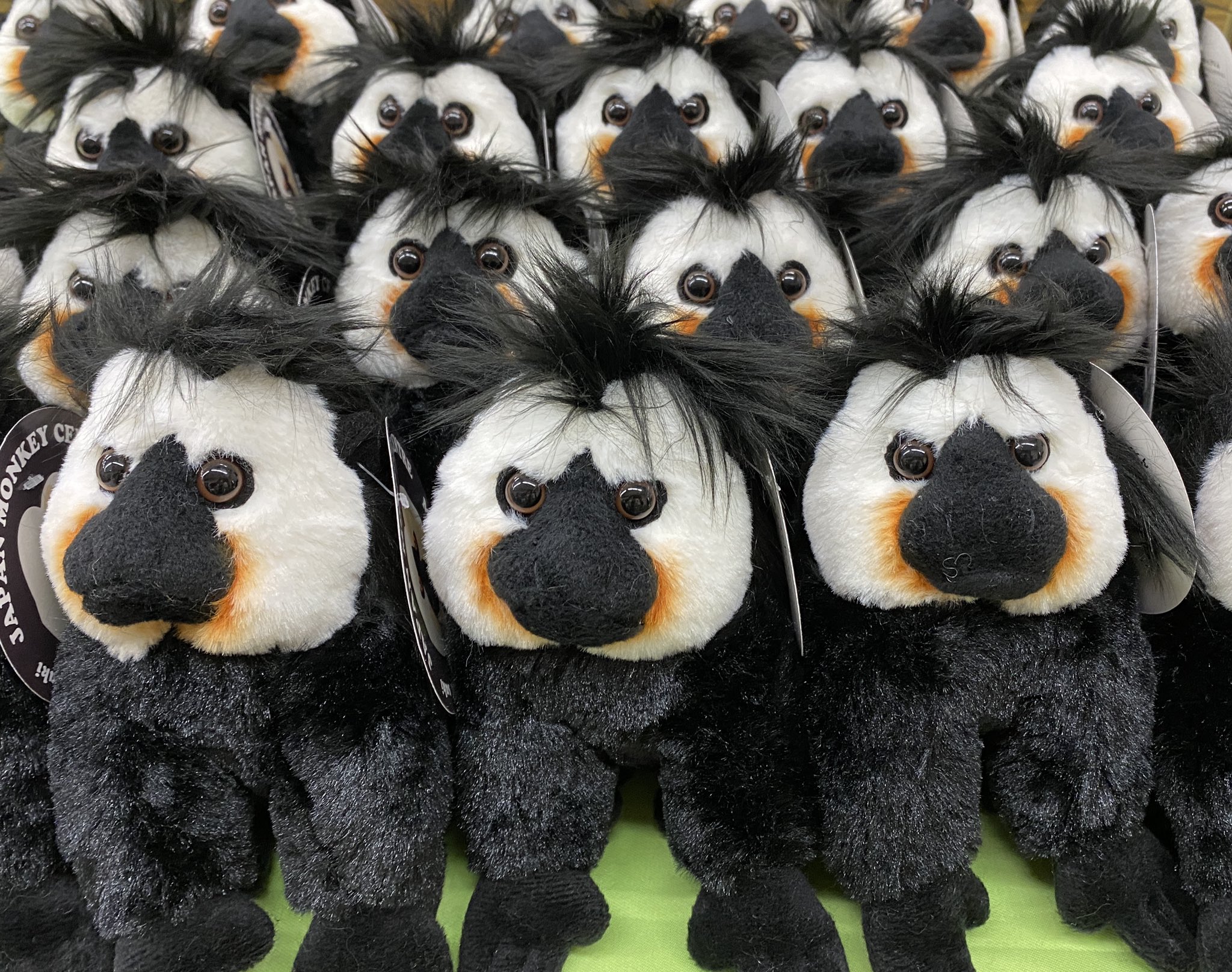 シロガオサキのぬいぐるみ