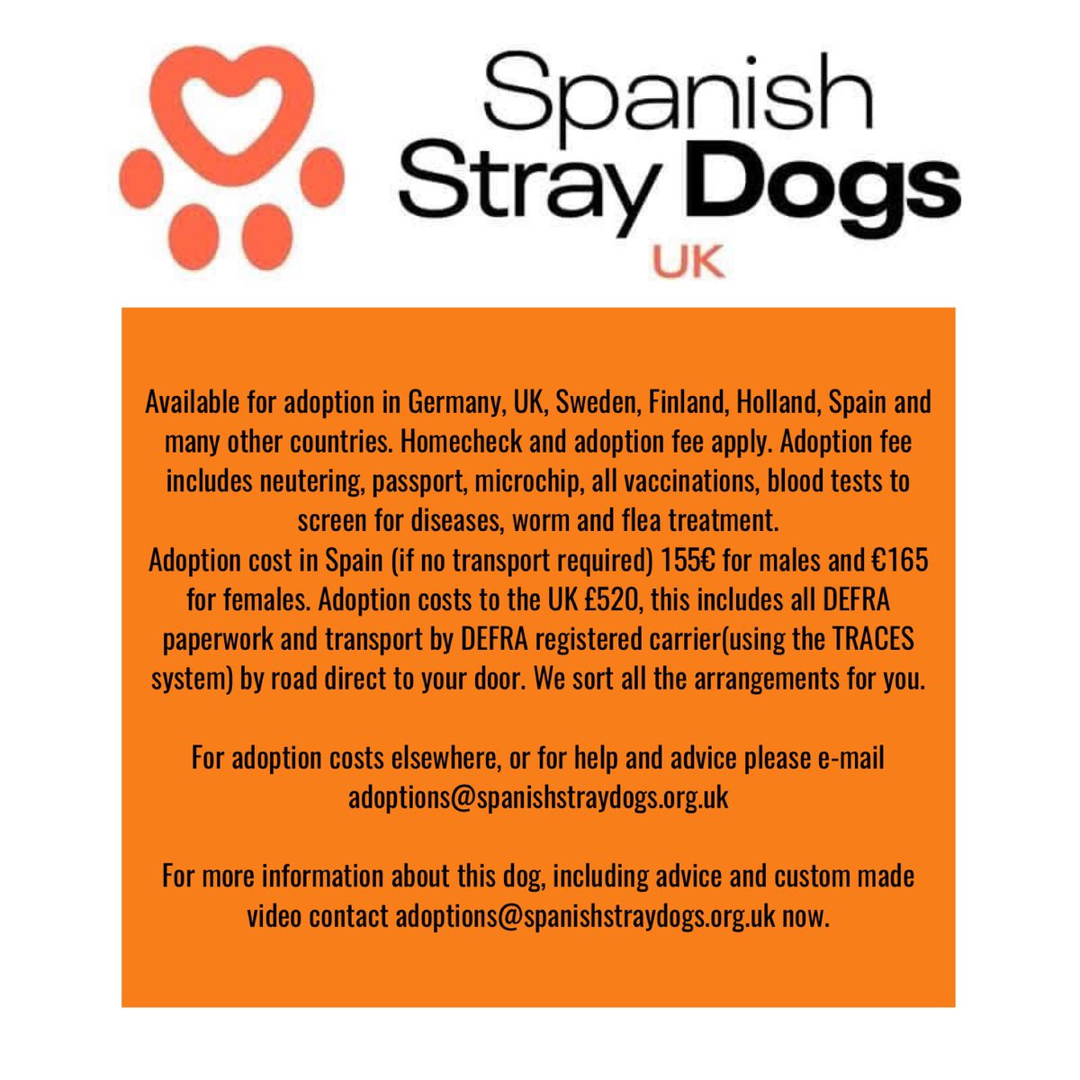 spanishstray's tweet photo. PANCHO 💕
Found wandering streets & brought to pound. We think he’s around 8 years old. Stunning male #Bodeguero. Can you offer this gorgeous boy a home.
Adoptions@spanishstraydogs.org.uk
https://t.co/s7jUisJjWy
Please share Pancho 🙏
#AdoptDontShop #RescueDogs #DogsofSpain https://t.co/ZF5bUppsPK