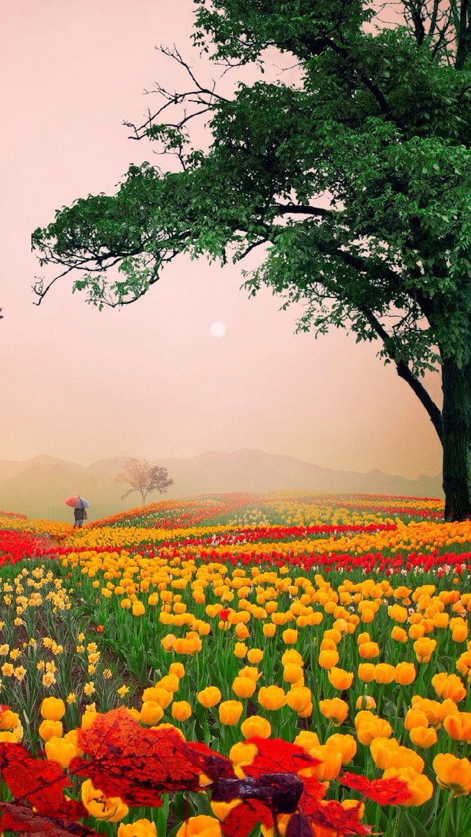 Lovely evening twitterverse