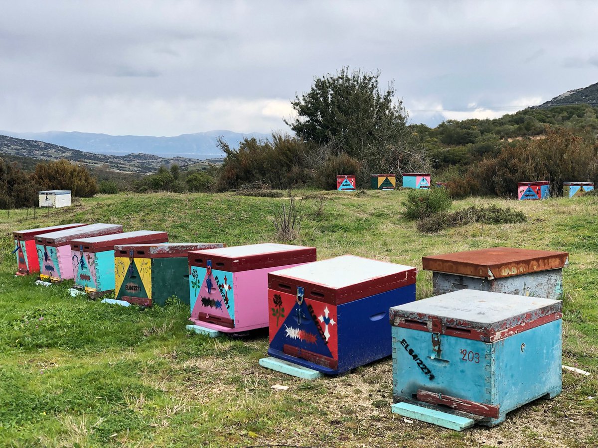 En Grèce pour une collaboration avec l’institut de recherche apicole de Thessalonique. Bientôt de nouvelles innovations à vous proposer !