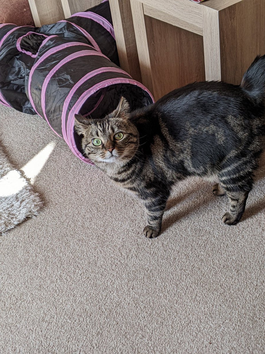 Andy18512371's tweet photo. Excuse me? Did you interrupt my tunnel time to take a picture? ❤️❤️❤️ https://t.co/803MmFsCwf
