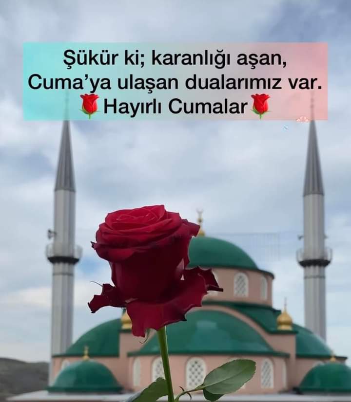 KFenerli81's tweet photo. 🕌🌹🌱🌹Hayırlı cumalar Allah tüm dualarını kabul etsin inşallah. https://t.co/cQZOpYqhcm