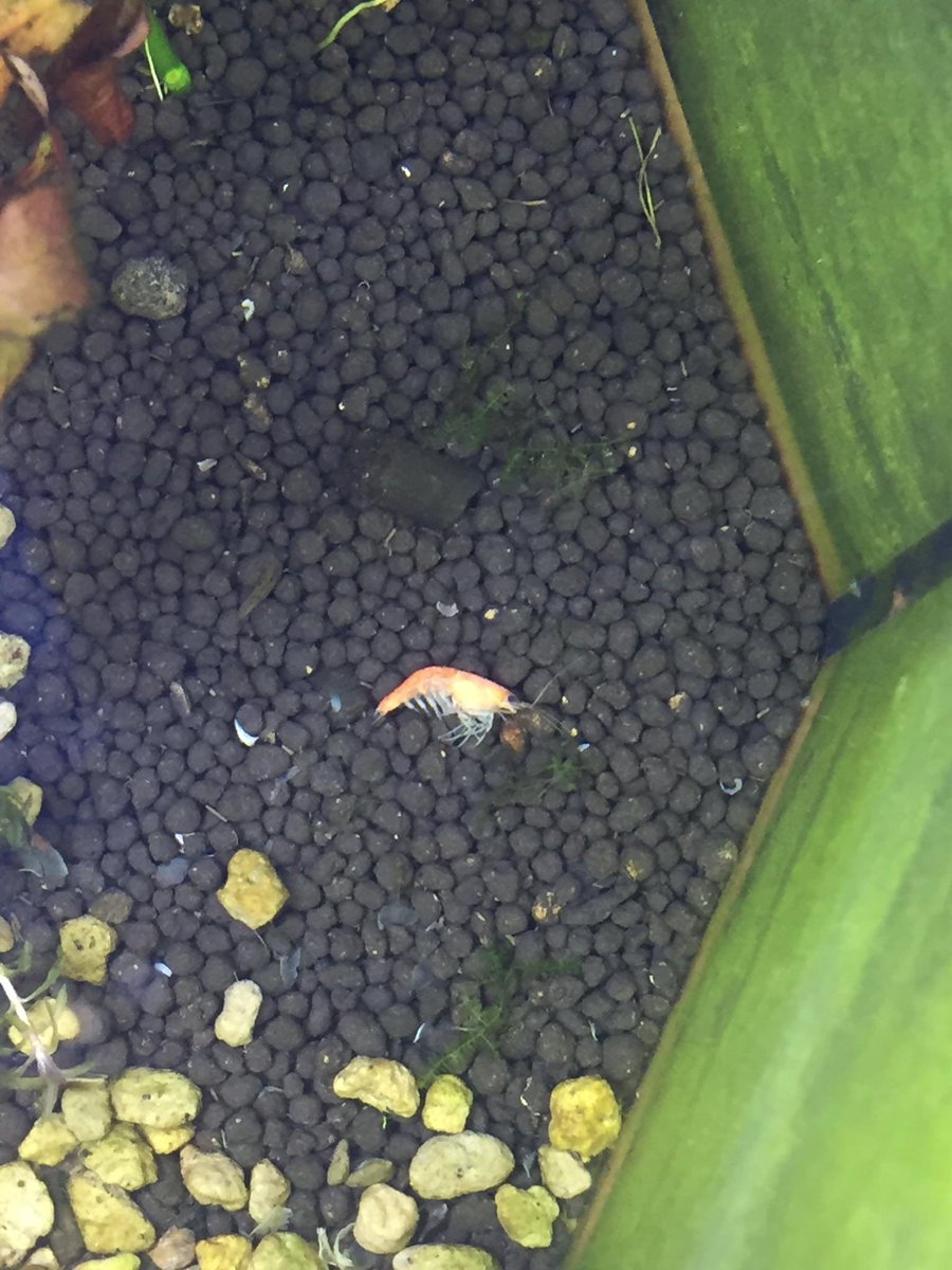 ร้อนแค่ไหนถามใจเธอดู5555555565555645565655555555565666565546545454