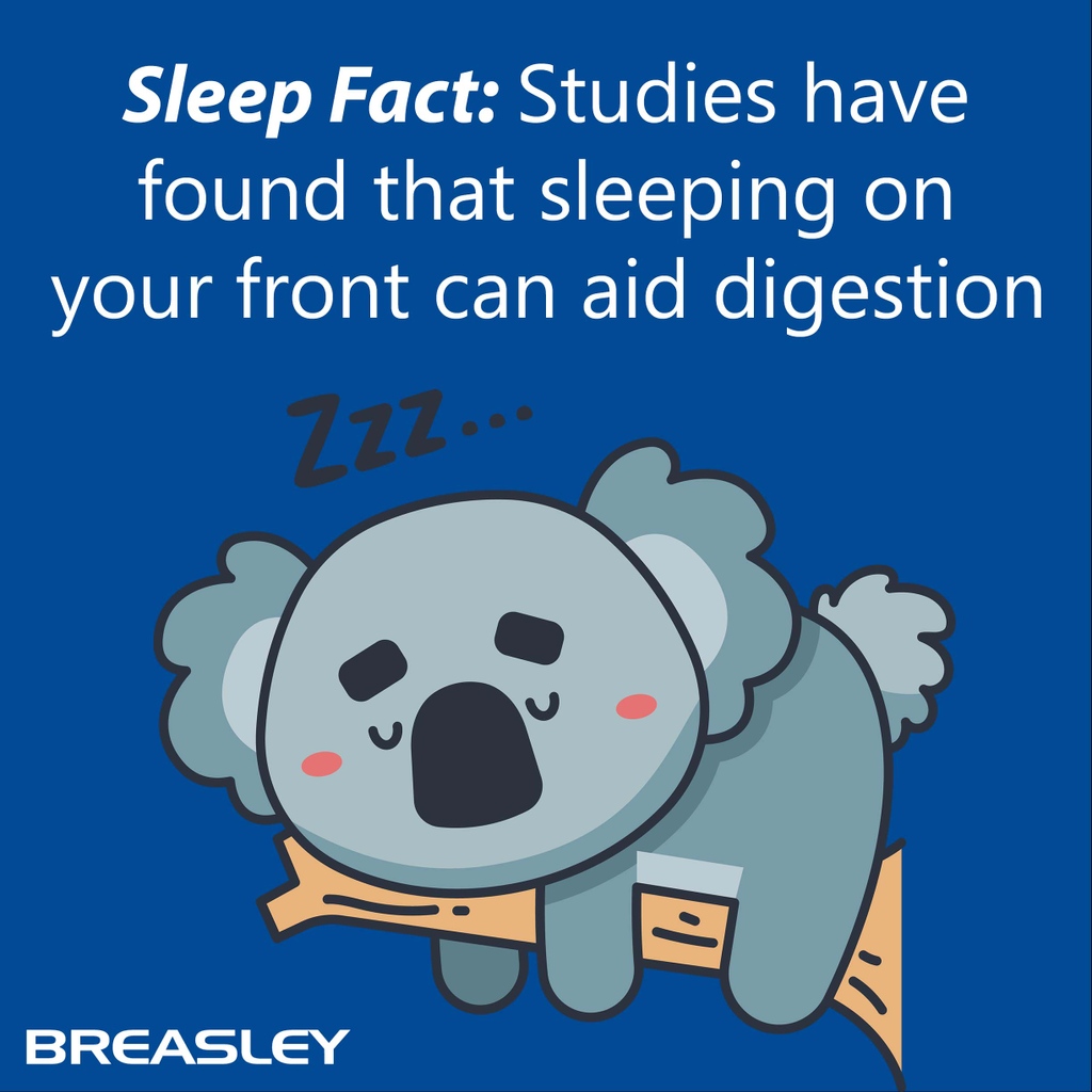 BreasleyBeds's tweet photo. #sleepfact Studies have found that sleeping on your front can aid digestion #madeintheUK #Innovatingsleep https://t.co/jxexpLcDuc