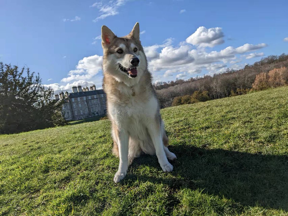 WinnieWenSEOR's tweet photo. Happy 11th Birthday my baby girl! Been a wonderful journey with you so far, and once again thank you for choosing me as your human! Here's to many more years to come ❤️ https://t.co/tHrjhuKQ1U
