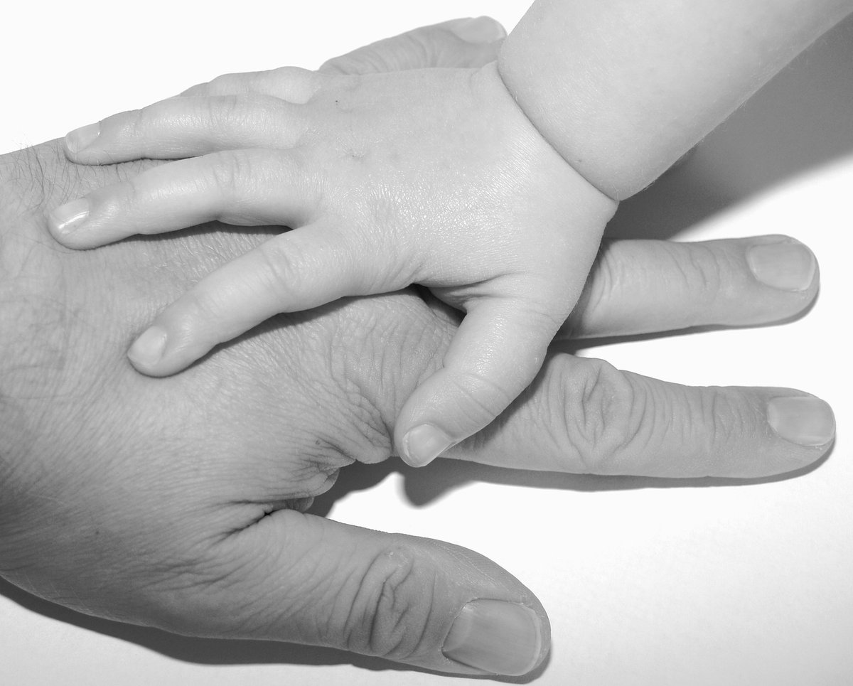 univeabogados's tweet photo. Una sentencia confirma que es intrascendente que la esposa ya perciba el complemento de maternidad.
@LegalToday 🔗https://t.co/feI5lR5Hwc
#UniveAbogados #ComplementoporMaternidad #UniveenlaPrensa https://t.co/JVfevVkdEK